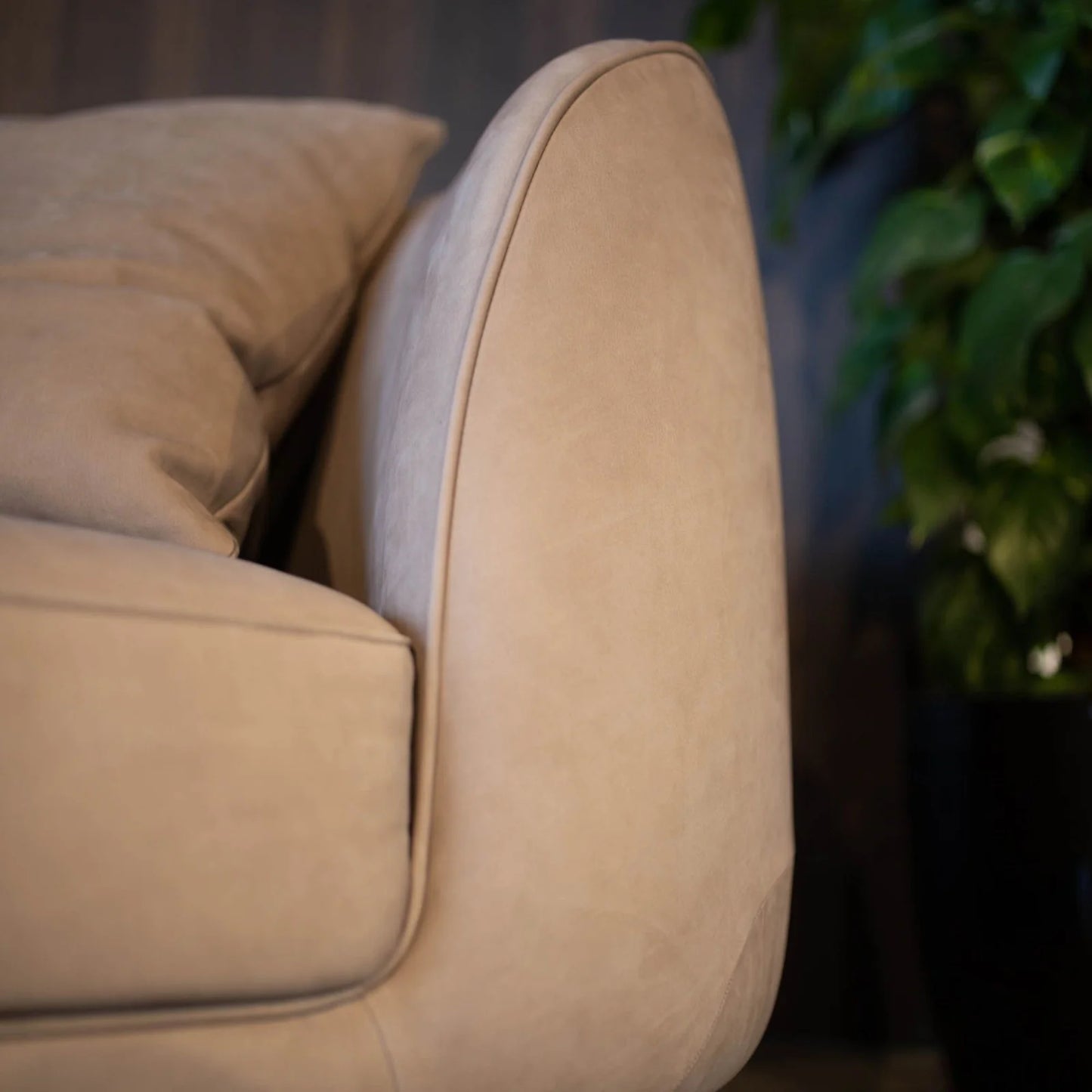 Aurea Sofa