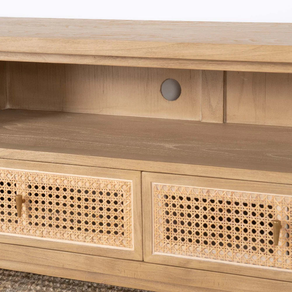 GESE TV UNIT