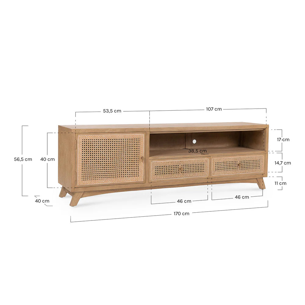 GESE TV UNIT