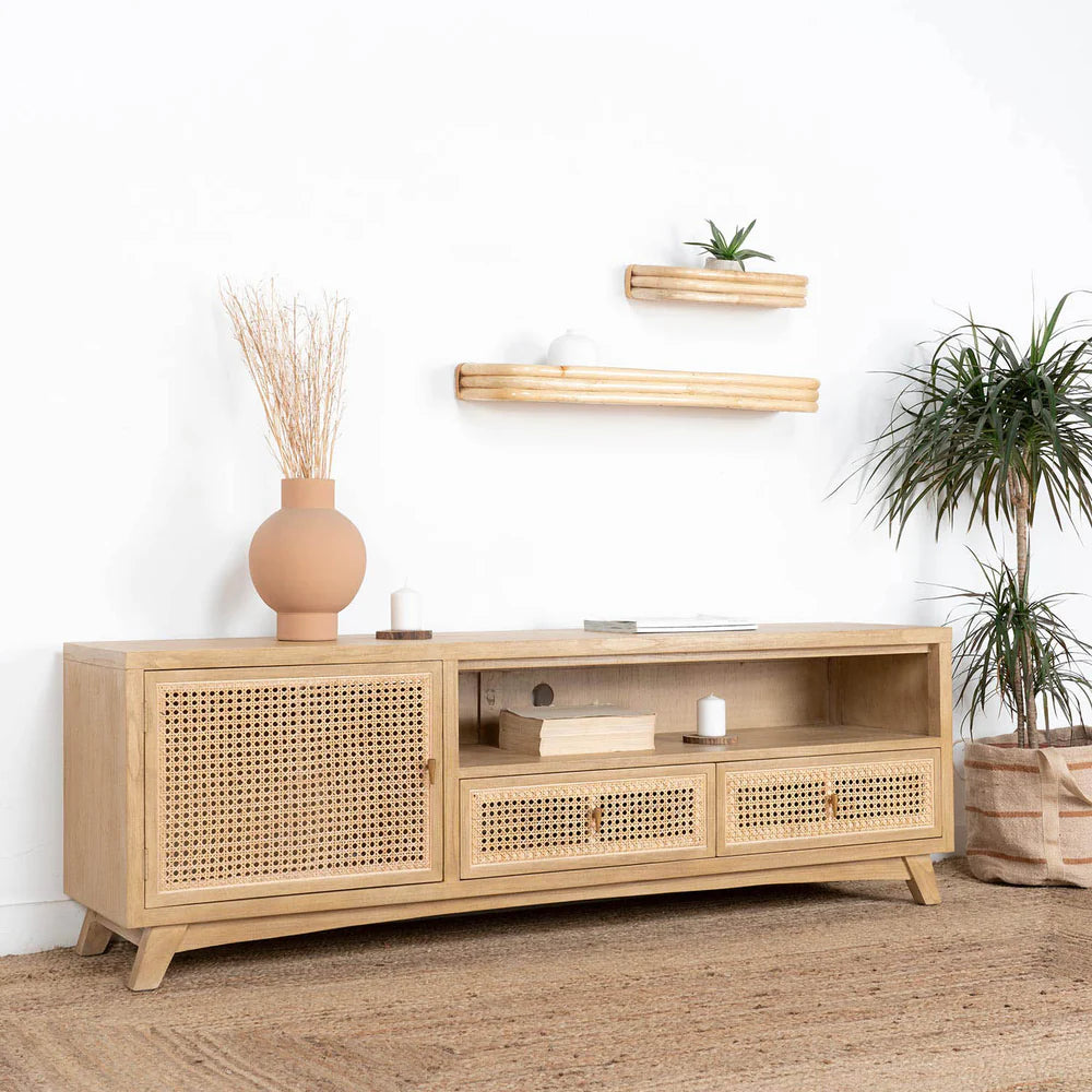 GESE TV UNIT