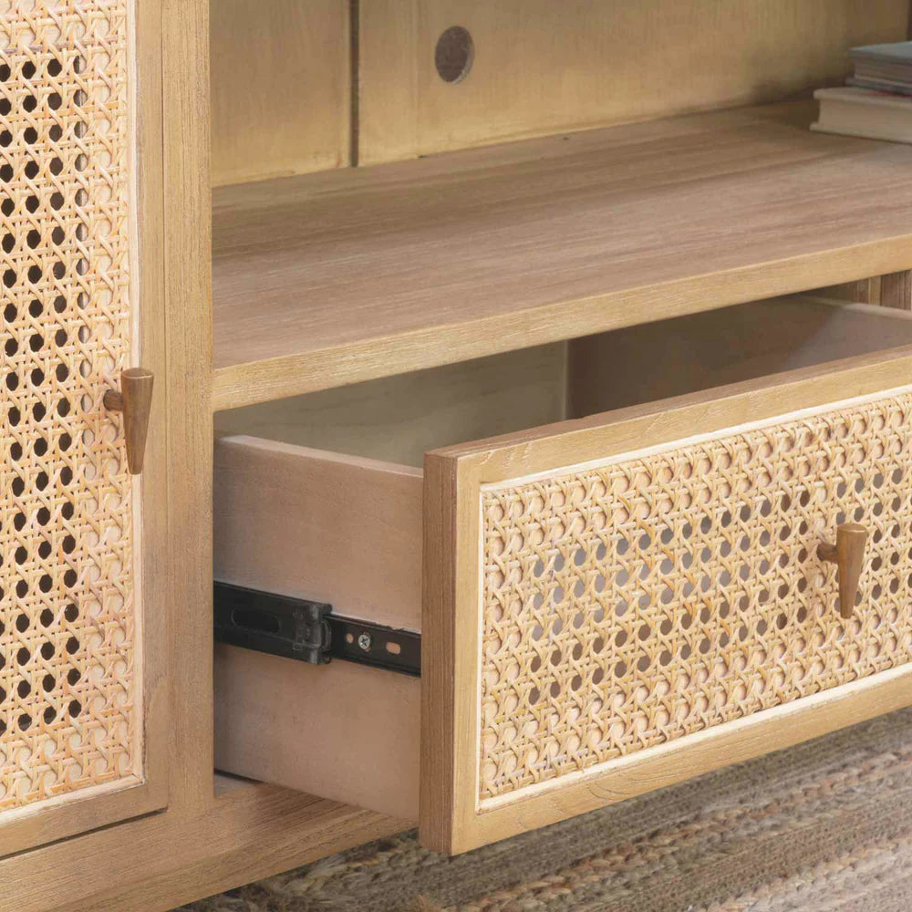 GESE TV UNIT