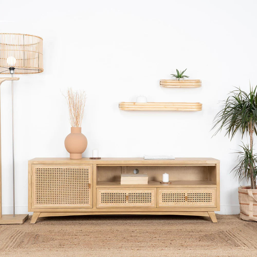 GESE TV UNIT