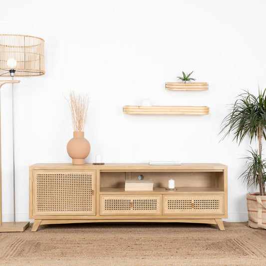 GESE TV UNIT