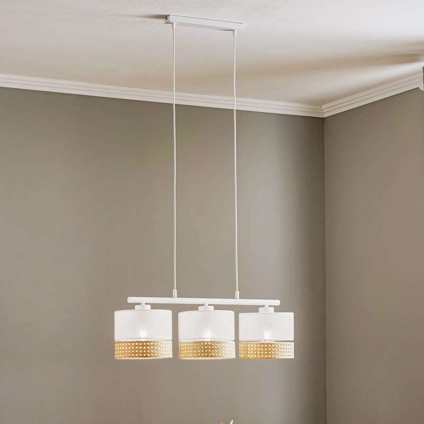 Modern Cane and Rattan Ceiling Light