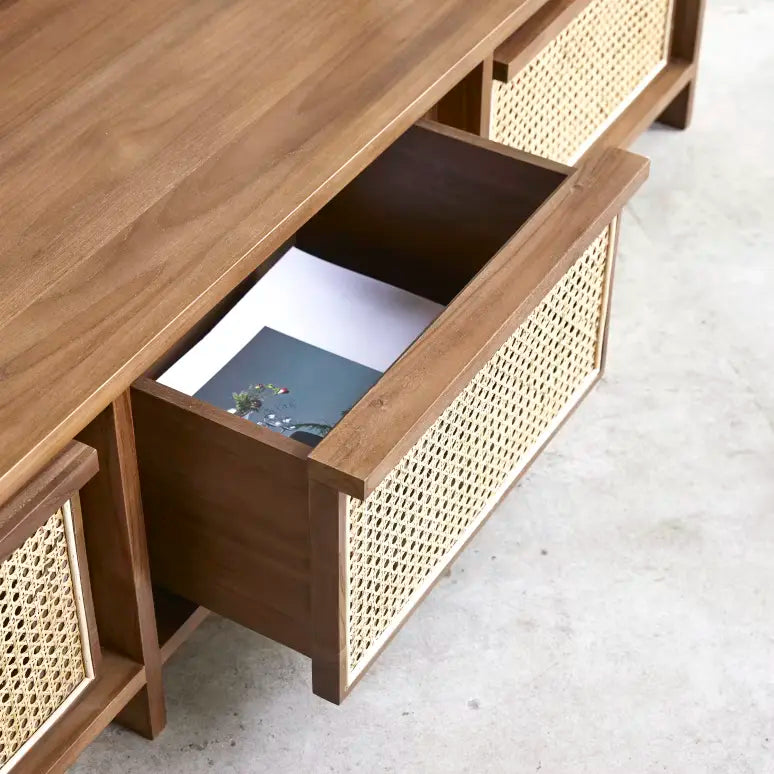CaneFusion - TV Table