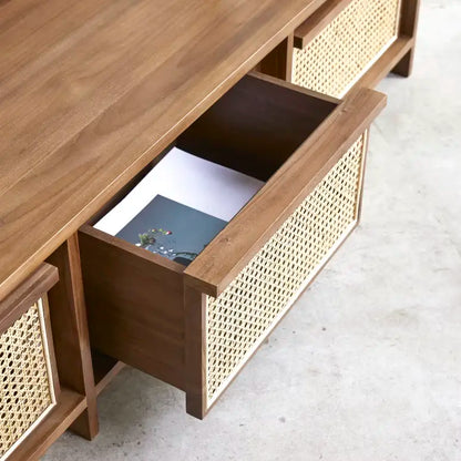 CaneFusion - TV Table